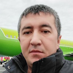 ����, �������, 37 ���