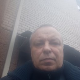 , 54, 