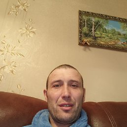 ���� �����, ������������, 43 ���� - ��������� 12 ���� 2024