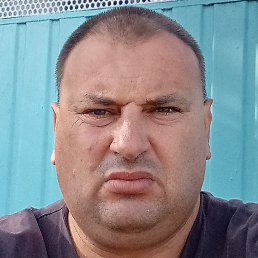 ����, ����������, 43 ����