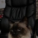 ���� Tina*, �������, 55 ��� - ��������� 20 ������ 2025 � ������ ������ ��������