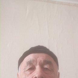 , 65, 