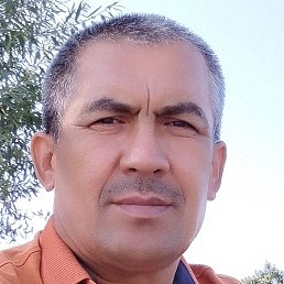 ����, ��������, 53 ����