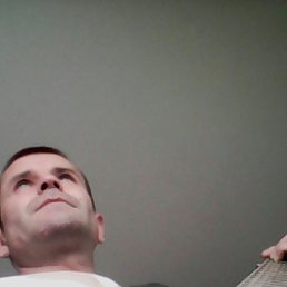 ����, �����-���������, 44 ����