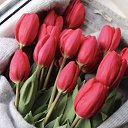 ���� ��������., �������������� - ��������� 1 ����� 2026 � ������ ������ ��������