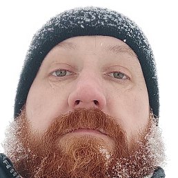 ����, ������, 43 ����