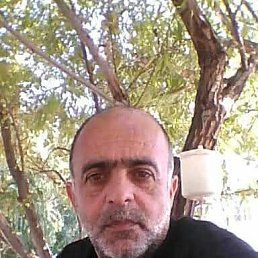 , 52, 