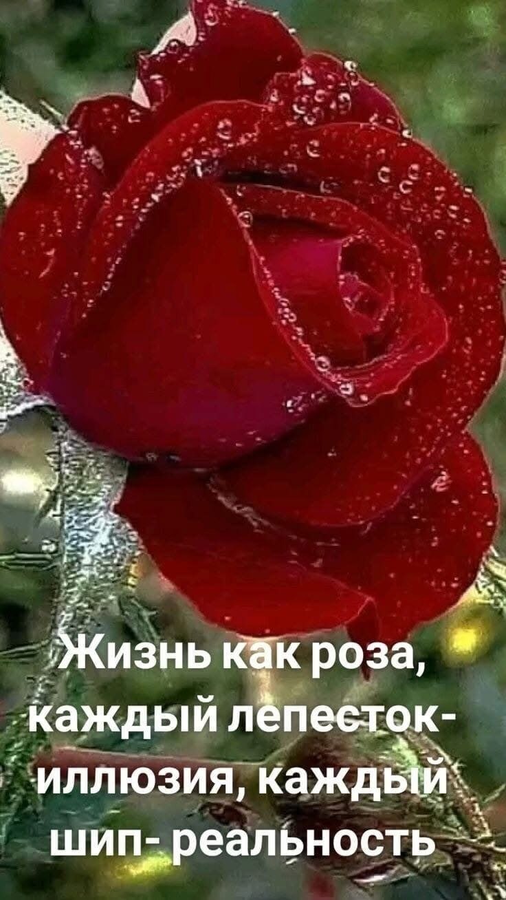  - 22  2025  17:27