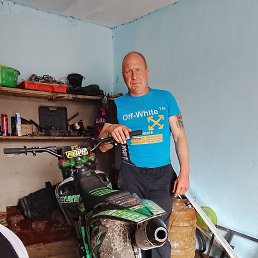 , 41 , 