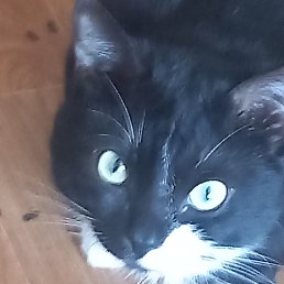 ���� ����, �������, 48 ��� - ��������� 6 ����� 2024