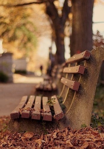     , ,  . ,    ,  ... - 4