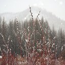 ���� ������, ����-��� - ��������� 24 ������ 2025 � ������ ������������ ����� 1�