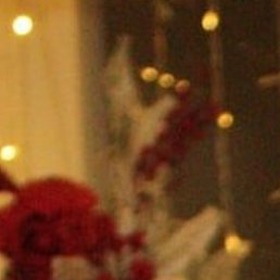 ������, ��������, 24 ����