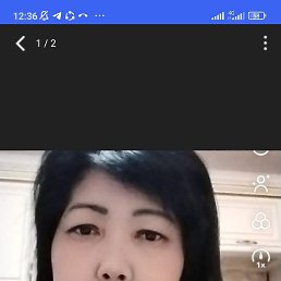 , 49, 