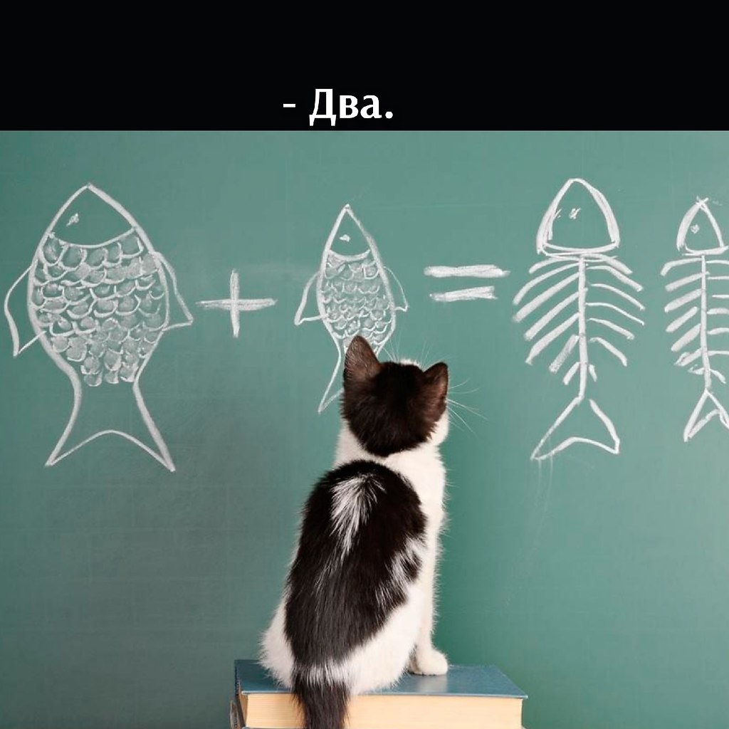       - 11  2025  11:01 - 2