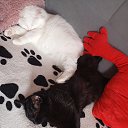 ���� Diva, ����������, 46 ��� - ��������� 15 ������� 2025 � ������ ������ ��������