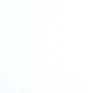 ��������, 55 ���, ������