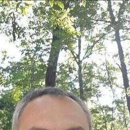 , 44, 