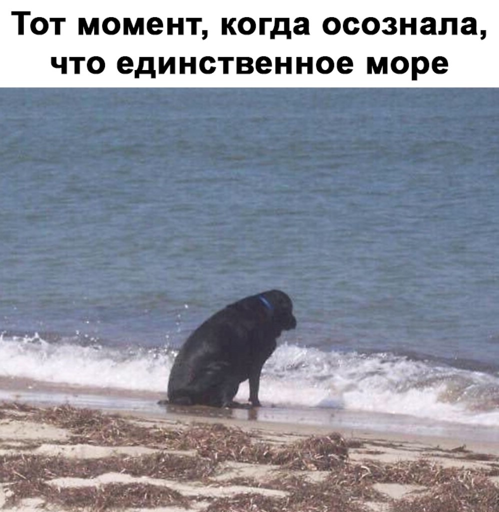 Да когда уже