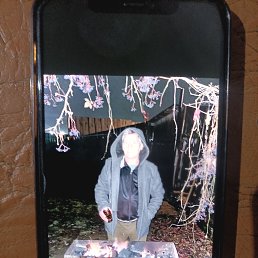 ���� ���������, ������, 51 ��� - ��������� 13 ������� 2026