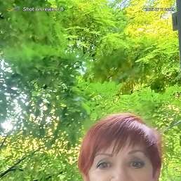 , 66, 