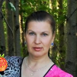 �������, ���������, 66 ���