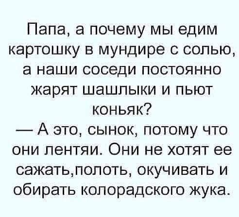 Alex - 5  2024  09:02