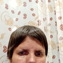 ������, 41 ���, �������