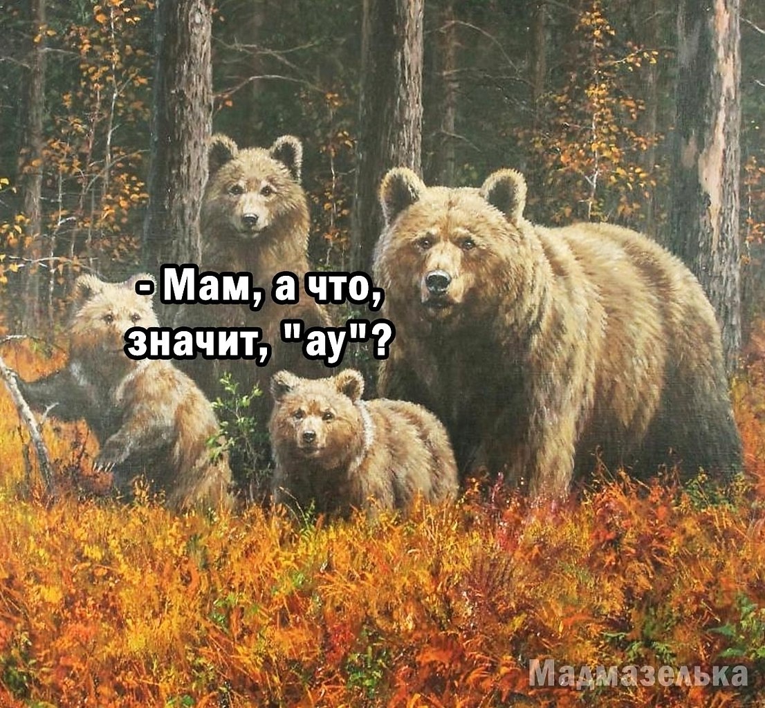 ���������.