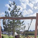 ���� �������, ������, 40 ��� - ��������� 5 ������ 2026