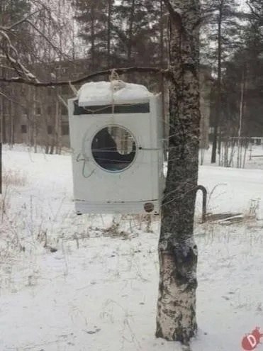 ����� ������� ���� � ������� ����������� �������� � �������� - 5