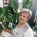 ���� ������, ���������, 55 ��� - ��������� 3 ������� 2025 � ������ ���� ����������