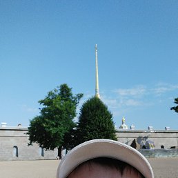 , 50 , -