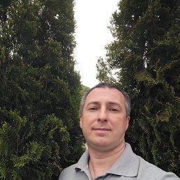 , 39, 