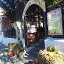 ���� Nadin, �������, 60 ��� - ��������� 30 �������� 2025 � ������ ��������