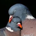 ���� �������, �������, 61 ��� - ��������� 30 ������ 2026 � ������ ������ ��������