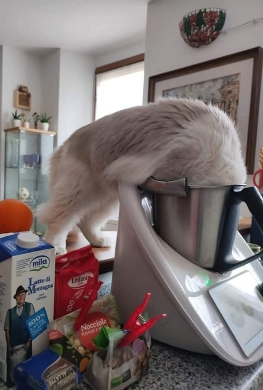      ,    ,    ...