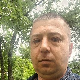 , 41, 