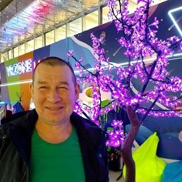 ���� ������ �������, ���������, 44 ���� - ��������� 12 ������� 2026