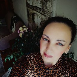 ����, ��������, 50 ���