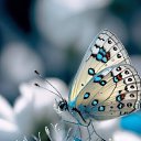 ���� �, ������ - ��������� 4 ������ 2026 � ������ ������ ��������