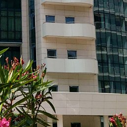 ������, ���������, 25 ���