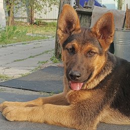 ���� ������, �������, 49 ��� - ��������� 25 ������ 2025