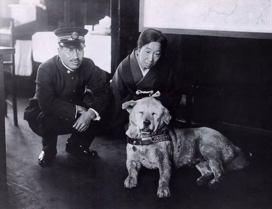 ao ooe po a o o  c , oo, 1933 .