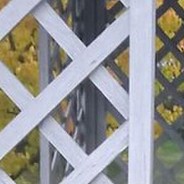 ����, ���������, 43 ����