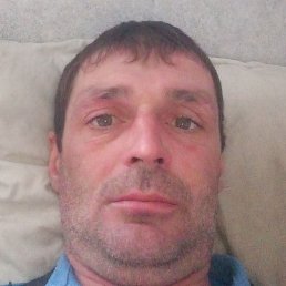 ���������, �����, 40 ���