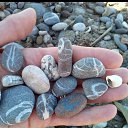 ���� �����, ������, 60 ��� - ��������� 29 ������ 2025 � ������ ���� ����������