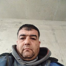 ������, 46 ���, �������