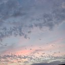 ���� �������, ����������, 66 ��� - ��������� 21 ������� 2025