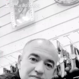 ������, ����, 51 ���